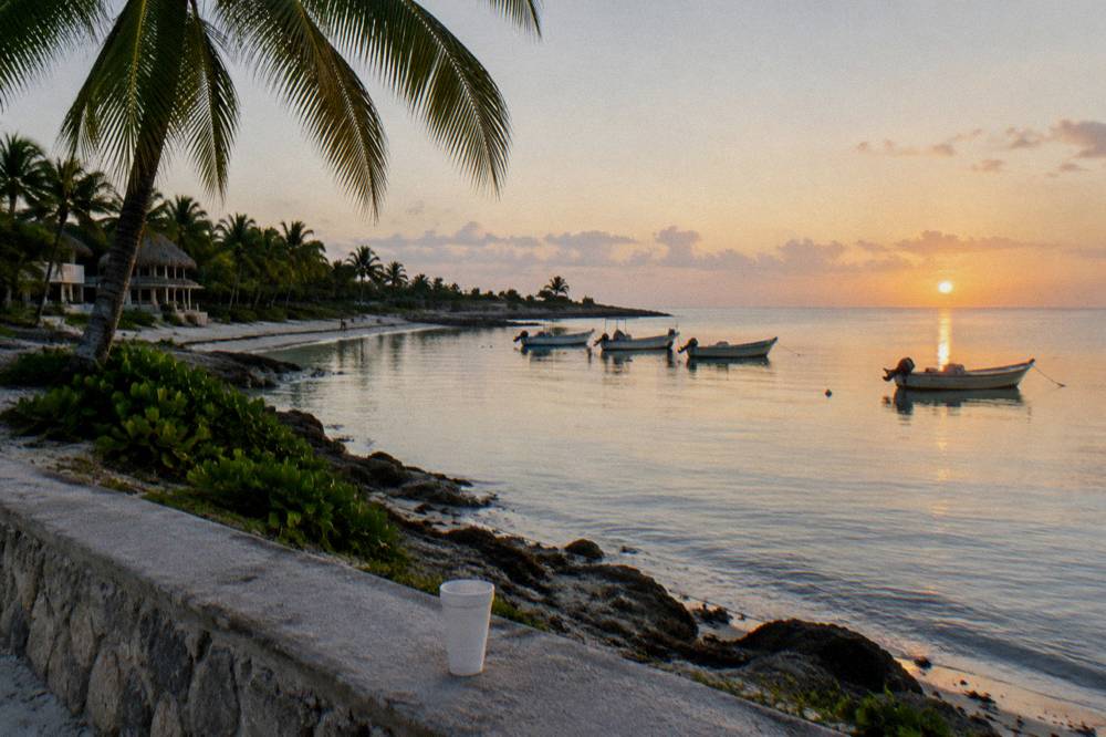 Palm-fringed bay at early morning with calm water and a line of moored boats