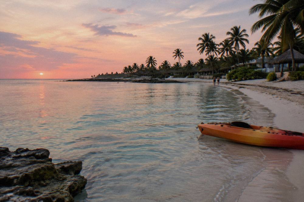 A sandy beach curve with calm shallow water and palm trees along the shore