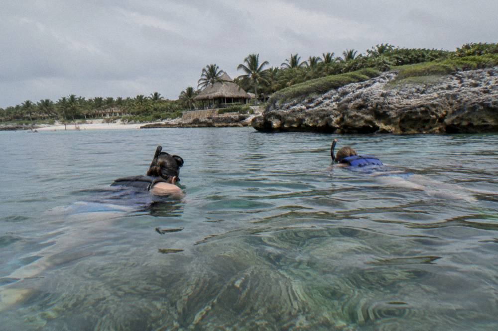 Snorkelers in vests and masks floating above shallow seagrass in a protected bay