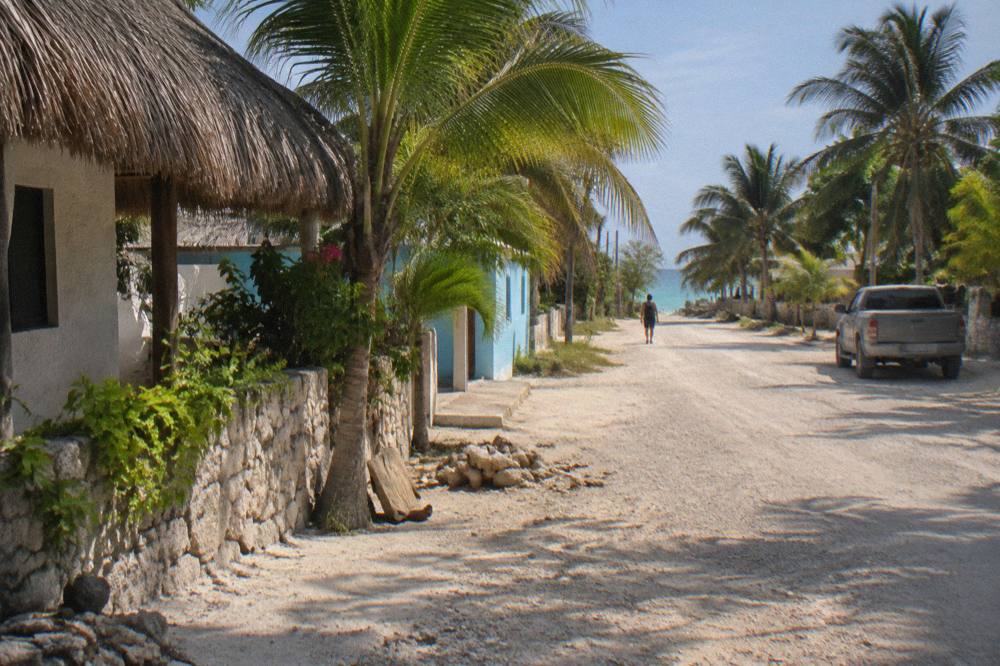 A coastal road lined with palm trees leading toward a beach town on the Riviera Maya