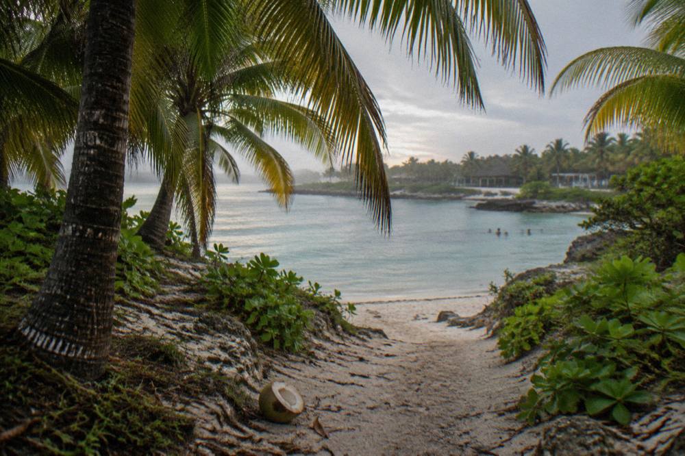 A sandy path through palms leading toward a calm turquoise bay in early morning light