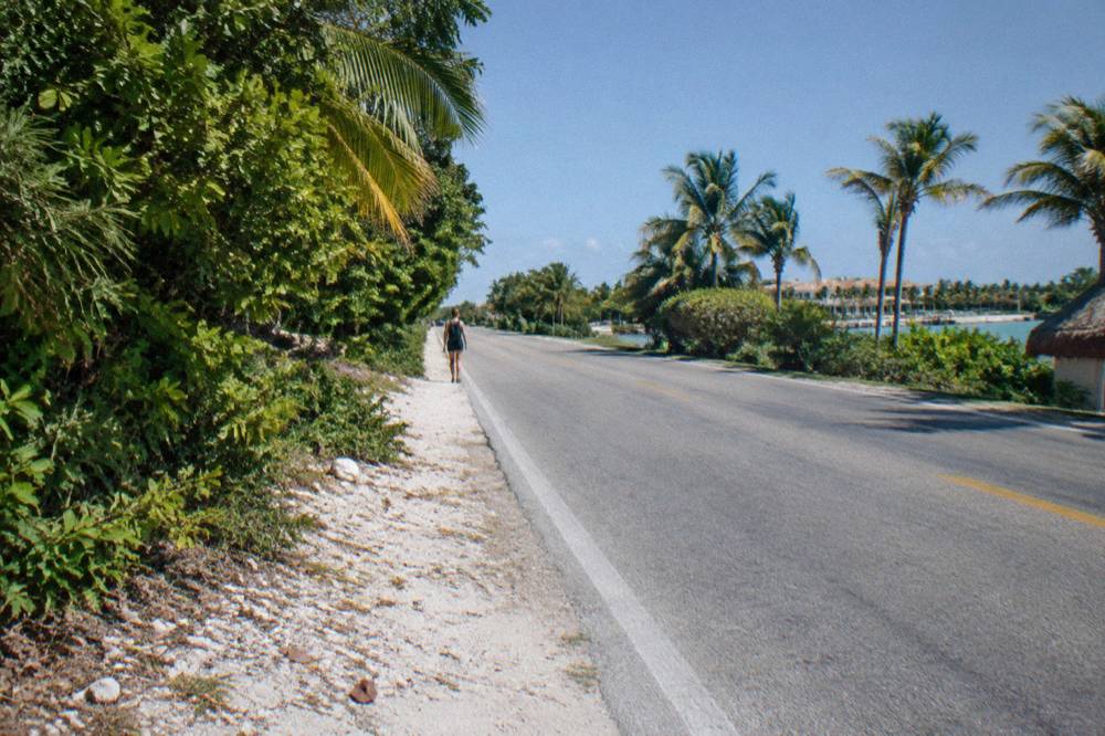 A coastal road with dense green jungle on both sides under a bright sky