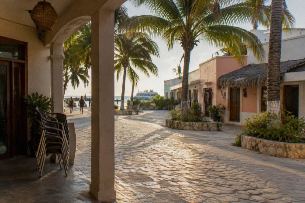 A pedestrian shopping street with palm trees and low buildings in late afternoon sun