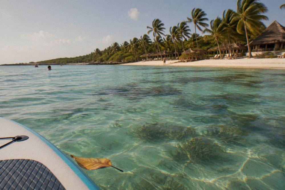 Shallow turquoise bay water over a seagrass bed with distant palm shoreline