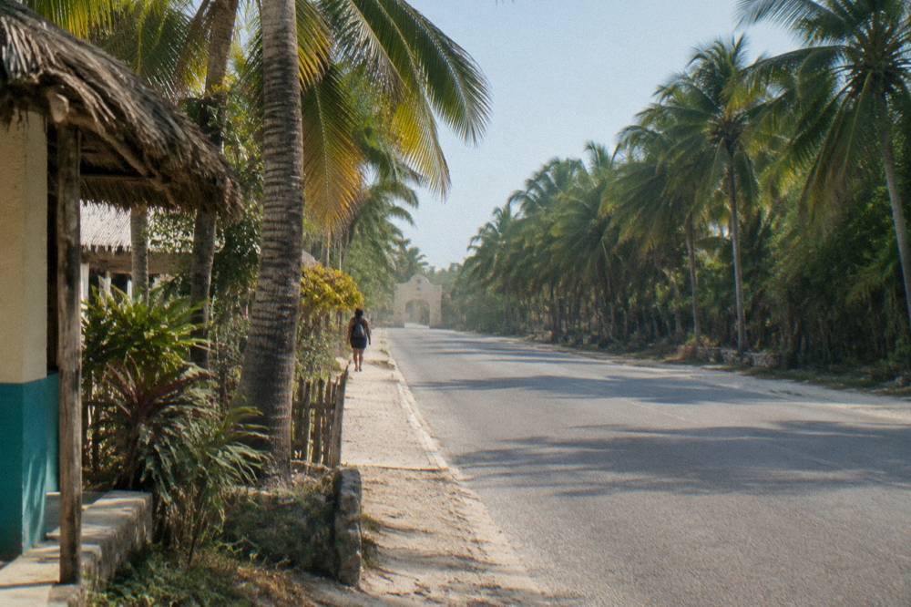 Coastal highway palm corridor with a roadside arch entrance in the distance