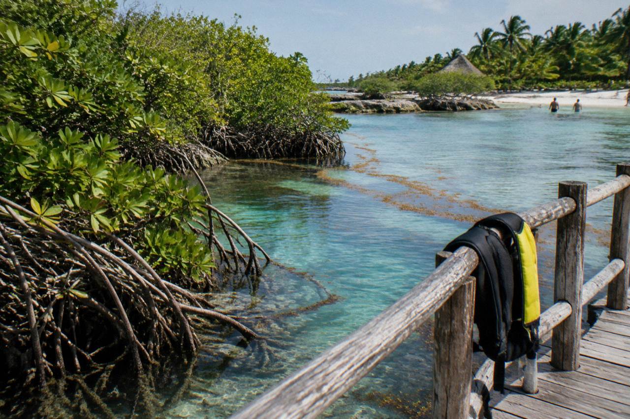 Turquoise inlet of a Riviera Maya snorkel park seen from a wooden walkway