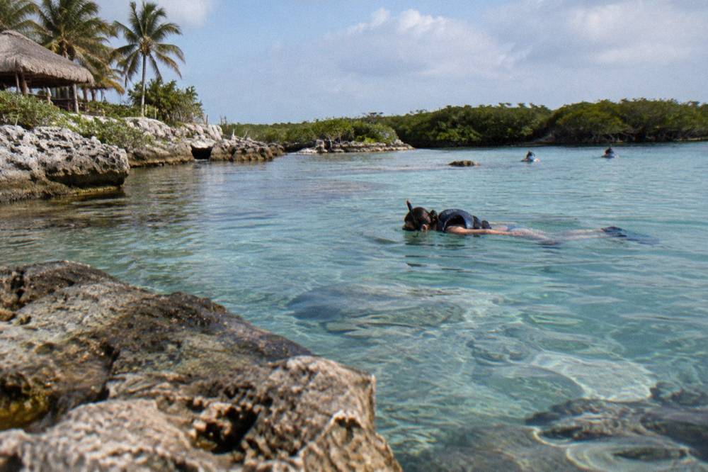 Snorkeler floating calmly over shallow clear water near rocks