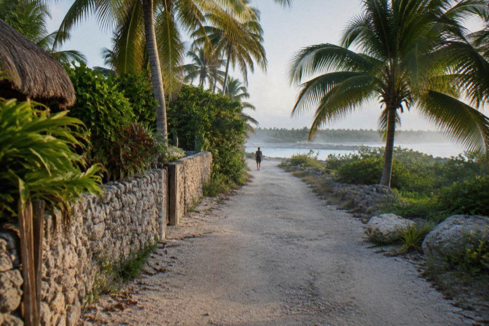 Quiet coastal road with palm trees leading toward a lagoon entrance