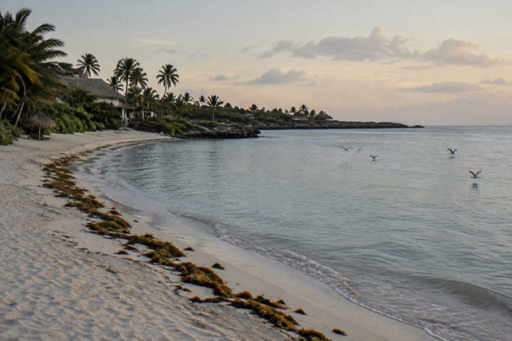 Empty beach and calm bay water in early morning light