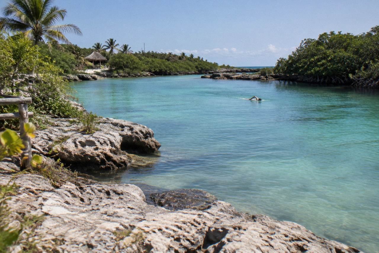 Calm turquoise lagoon water with mangrove edges and rocky shoreline under a bright sky